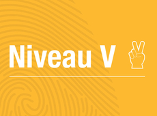 Niveau V