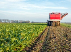 landbouw