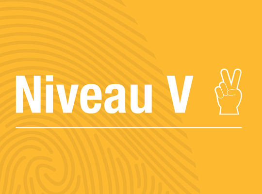 Niveau V Niveau V