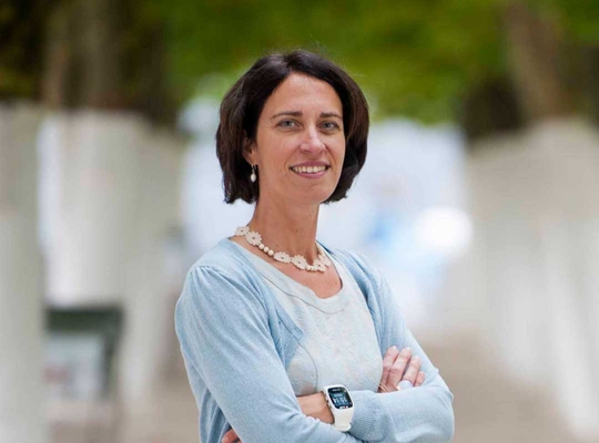 Politique bruxelloise en matière d’énergie verte : un impôt déguisé Politique bruxelloise en matière d’énergie verte : un impôt déguisé