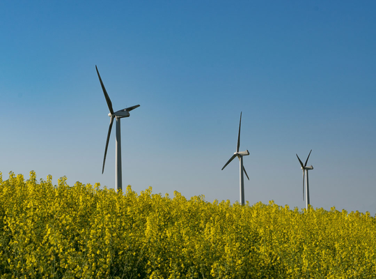 Énergies renouvelables : l'UE place la barre trop haut 